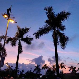 欧美另类SAMXXX残虐
